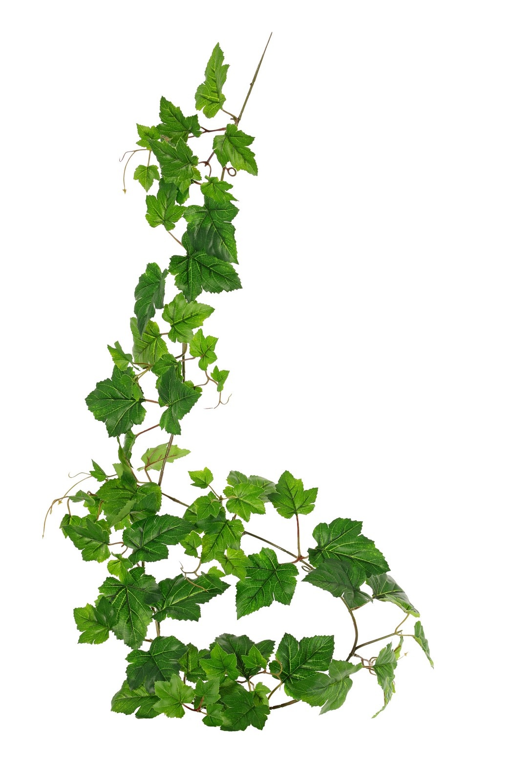 Druivenblad (Vitis) slinger met 27 PE bladeren & 7 uitlopers (14 cm), 160 cm, RECYCLED