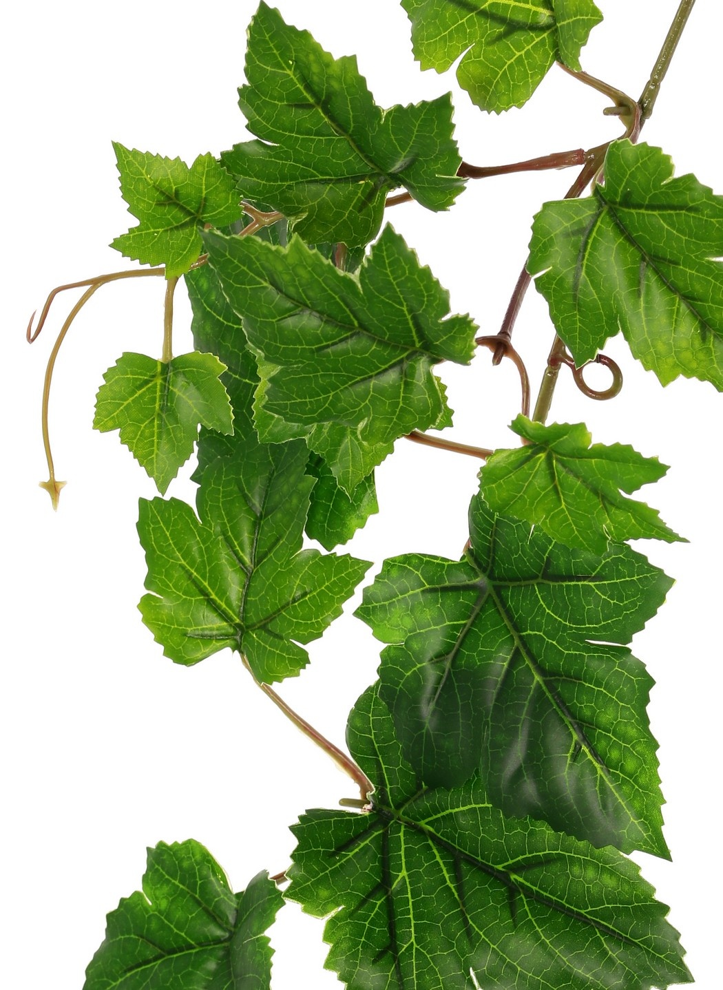 Grape leaf garland (Vitis) with 27 PE leaves and 7 branches (14 cm), 160 cm, RECYCLED