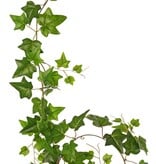 Hedera-Girlande mit 27 PE-Blättern & 7 Ablegern (14 cm), 160 cm, RECYCELT