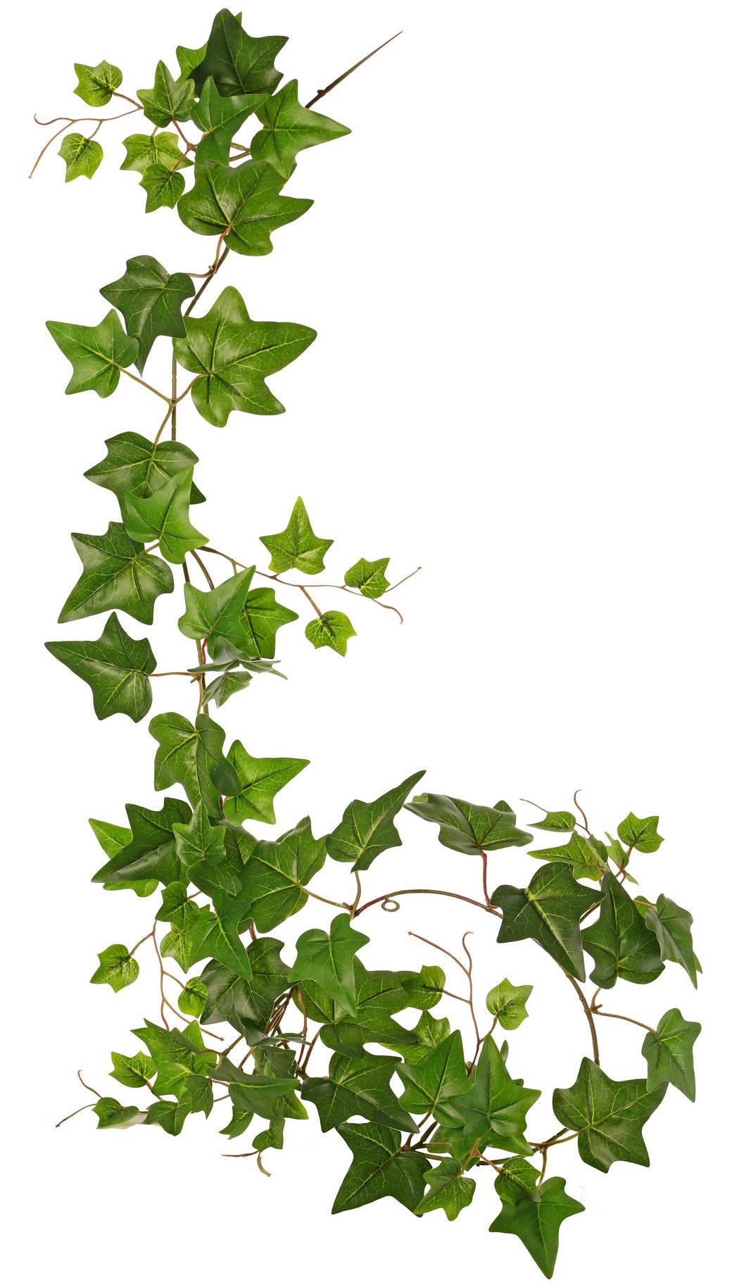 Guirnalda de hedera con 27 hojas de PE y 7 tallos (14 cm), 160 cm, RECICLADA