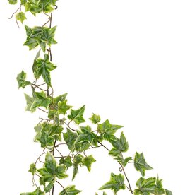 Hederaslinger met 27 PE bladeren & 7 uitlopers (14 cm), 160 cm, RECYCLED