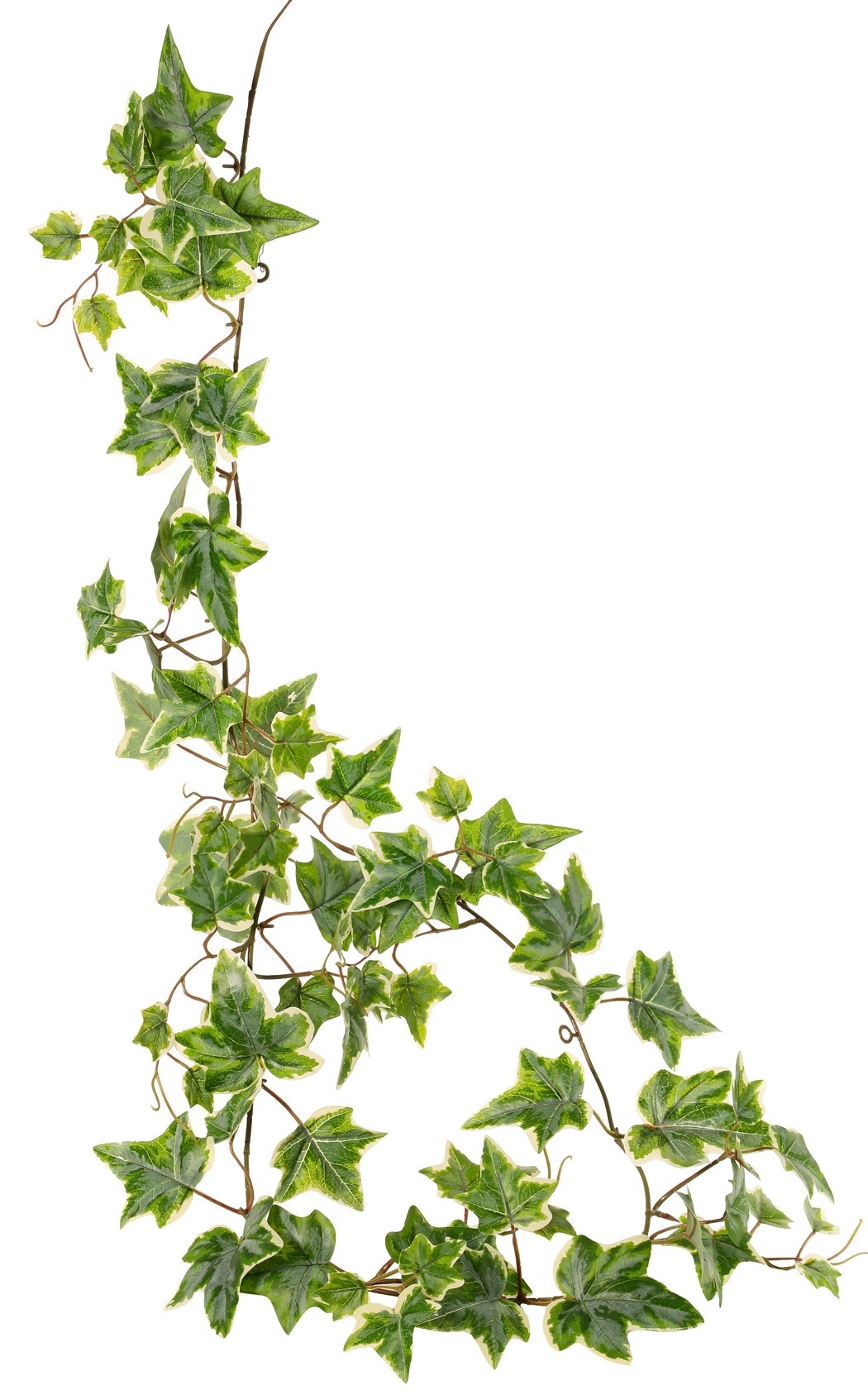Guirnalda de hedera con 27 hojas de PE y 7 tallos (14 cm), 160 cm, RECICLADA
