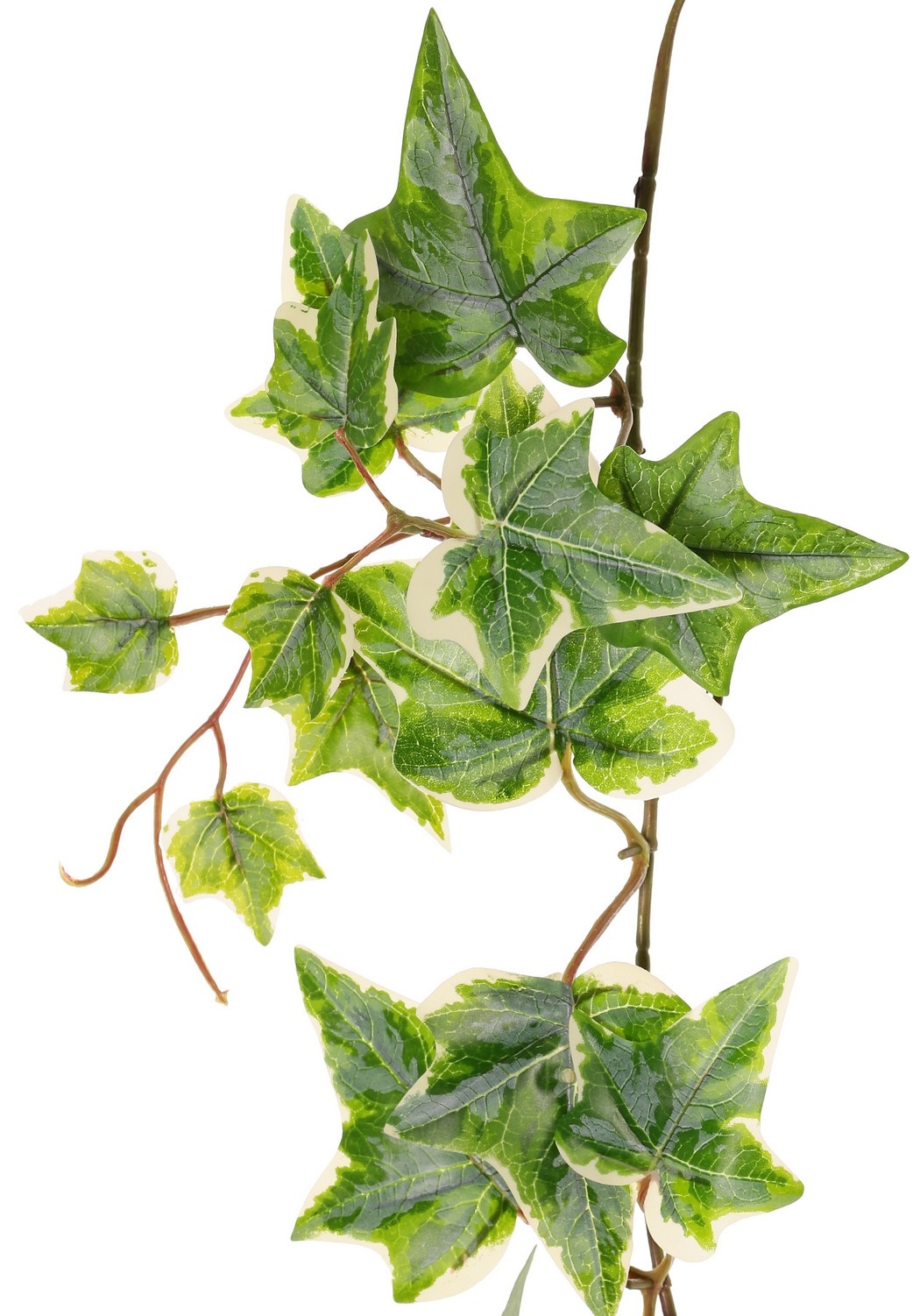 Hedera garland with 27 PE leaves & 7 offshoots (14 cm), 160 cm, RECYCLED