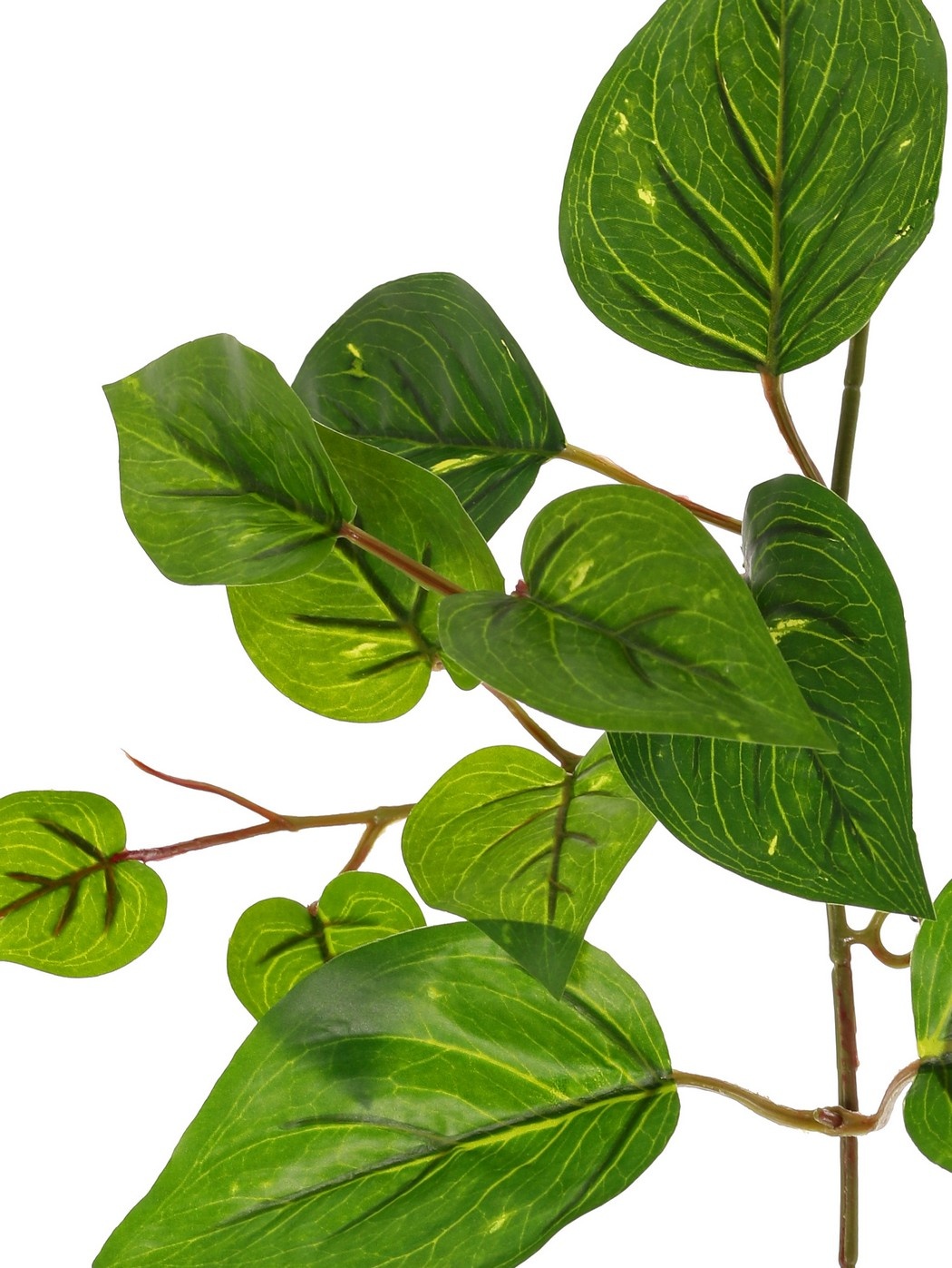 Pothos garland with 27 PE leaves & 7 offshoots (14 cm), 160 cm, RECYCLED