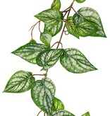 Guirnalda de Scindapsus (Epipremnum) con 27 hojas de PE y 7 ramas (14 cm), 160 cm, RECICLADA