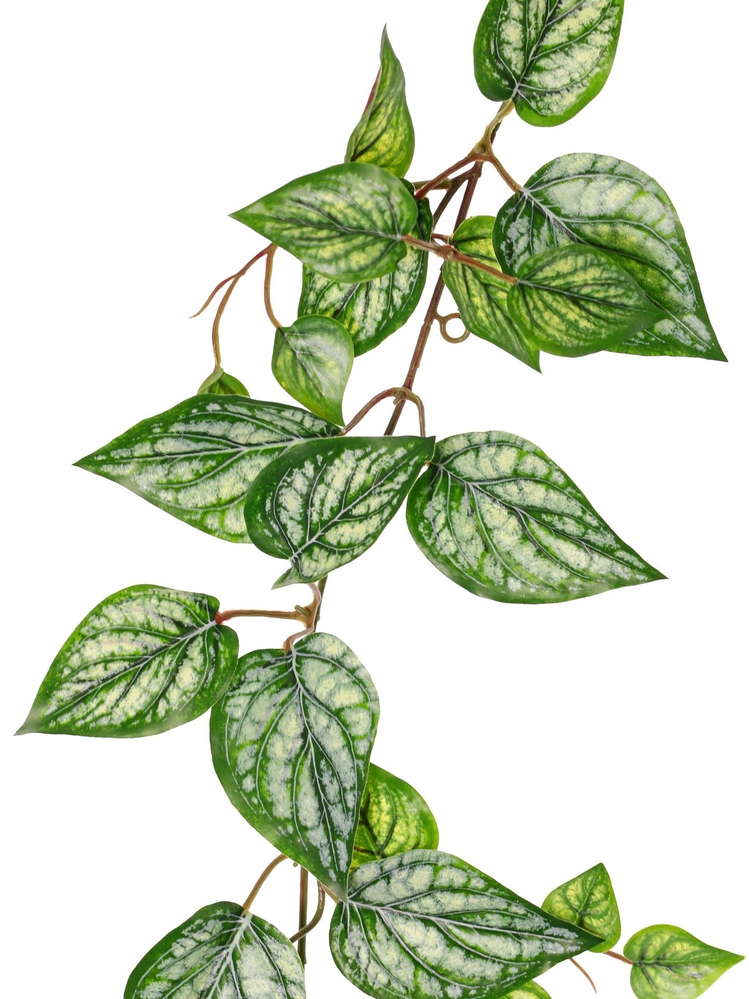 Scindapsus (Epipremnum)-Girlande mit 27 PE-Blättern und 7 Zweigen (14 cm), 160 cm, RECYCELT