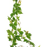 Grape vine garland (Parthenocissus) with 27 PE leaves and 7 branches (14 cm), 160 cm, RECYCLED