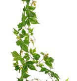 Guirnalda de vid (Parthenocissus) con 27 hojas de PE y 7 ramas (14 cm), 160 cm, RECICLADA