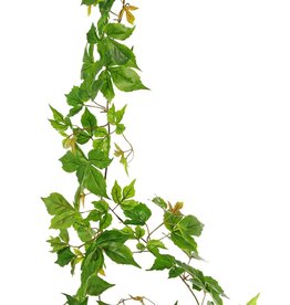 Grape vine garland (Parthenocissus) with 27 PE leaves and 7 branches (14 cm), 160 cm, RECYCLED