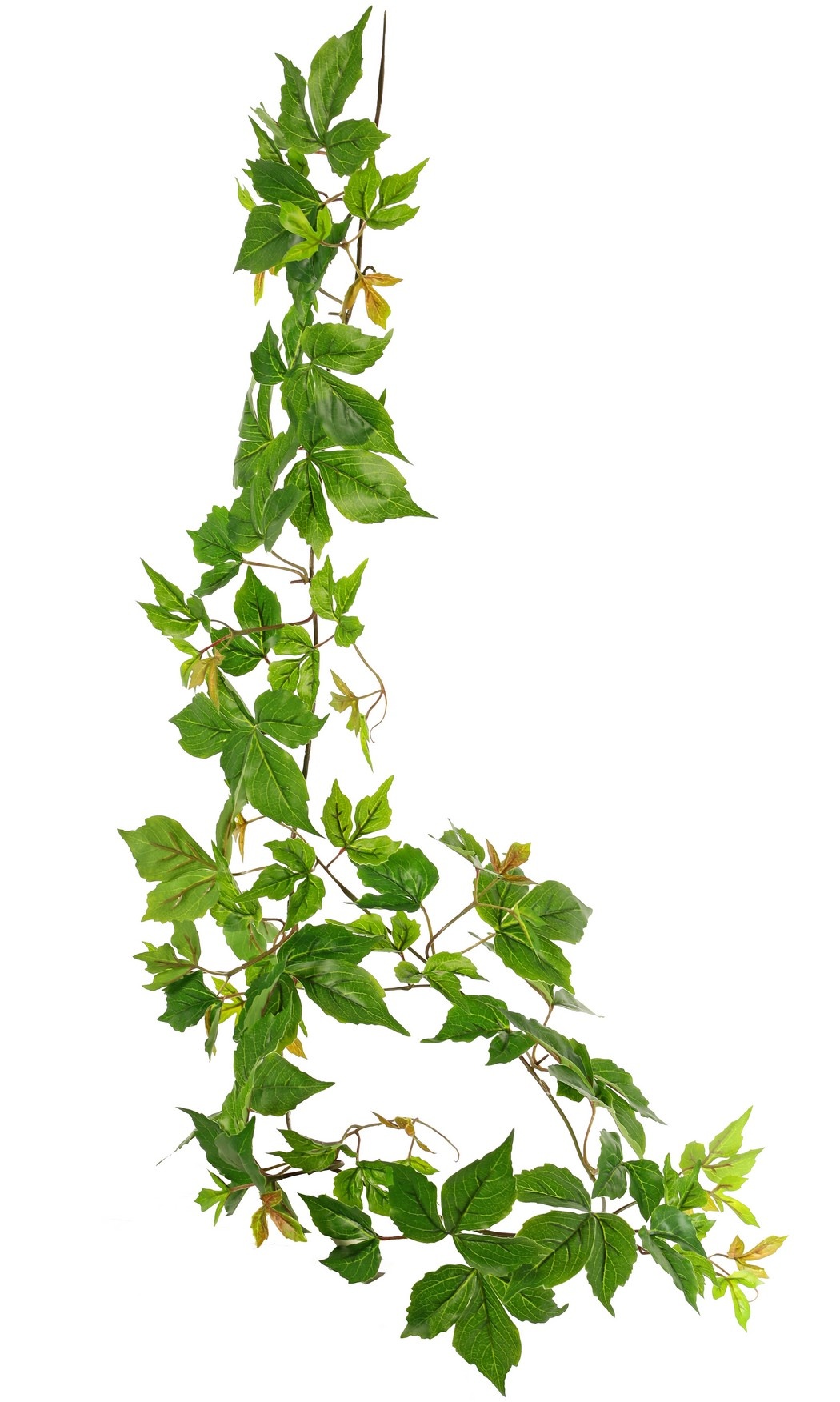 Grape vine garland (Parthenocissus) with 27 PE leaves and 7 branches (14 cm), 160 cm, RECYCLED