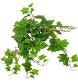 Planta de hoja de vid (Vitis) 'mediana', 9 x ramas con 10 brotes y 30 hojas, 48 cm, RECICLADA