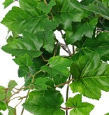 Planta de hoja de vid (Vitis) 'mediana', 9 x ramas con 10 brotes y 30 hojas, 48 cm, RECICLADA