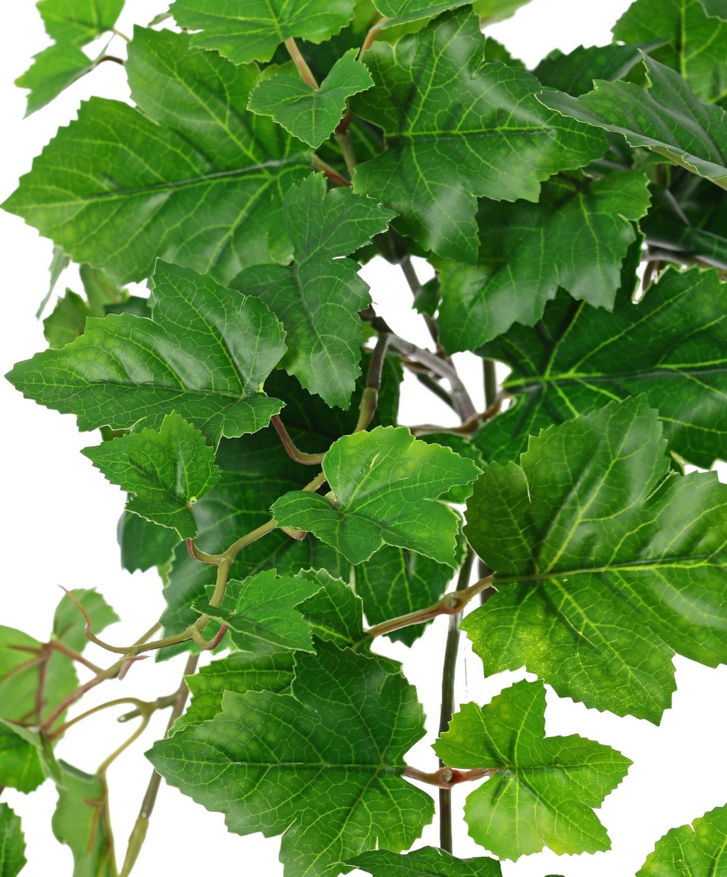 Vine leaf plant (Vitis) 'medium', 9 x branches with 10 shoots & 30 leaves, 48 cm, RECYCLED