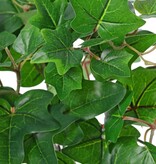 Ivy (Hedera) plant 'large', 10 x branches with 10 shoots & 38 leaves, 55 cm, RECYCLED