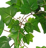 Planta de hiedra (Hedera) 'grande', 10 x ramas con 10 brotes y 38 hojas, 55 cm, RECICLADA