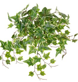 Planta de hiedra (Hedera) 'grande', 10 x ramas con 10 brotes y 38 hojas, 55 cm, RECICLADA