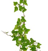 Guirnalda de Hedera hibernica (hiedra atlántica), 'Basic' con 76 hojas de PE, resistente a los rayos UV, 150 cm