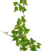 Guirnalda de Hedera hibernica (hiedra atlántica), 'Basic' con 76 hojas de PE, resistente a los rayos UV, 150 cm