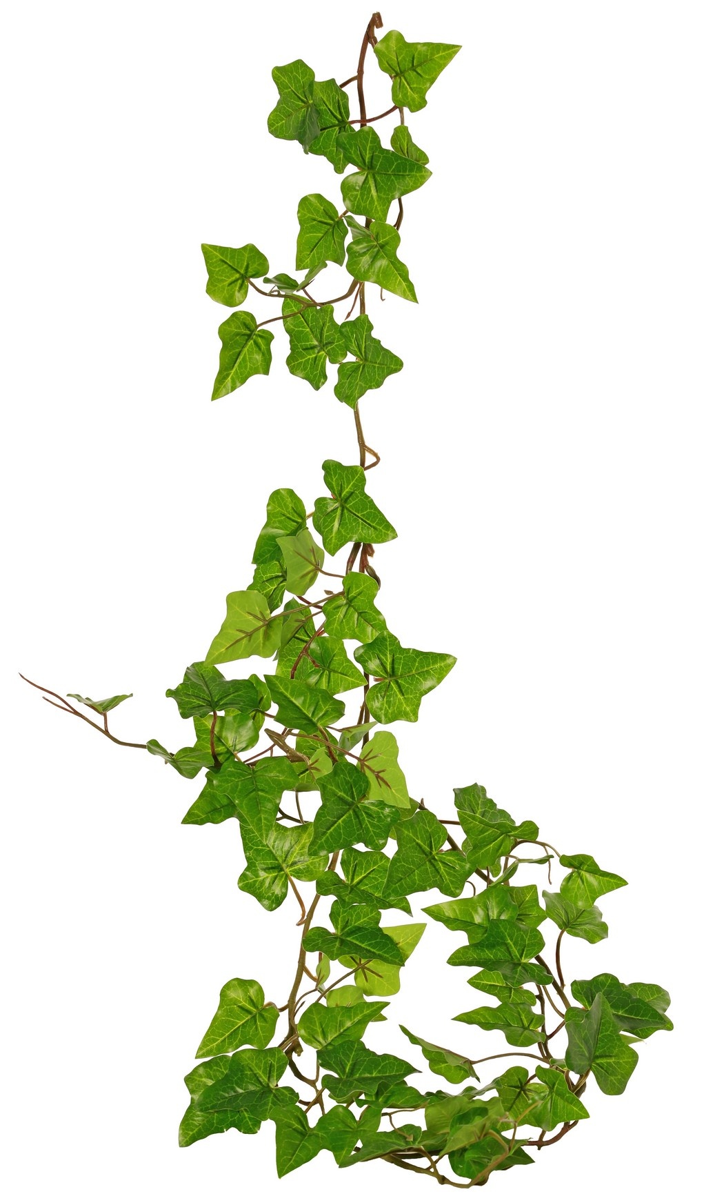 Hedera hibernica garland (Atlantic ivy), 'Basic' with 76 PE leaves, UV-resistant, 150 cm