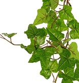 Hedera hibernica slinger (Atlantische klimop), 'basic' met 76 PE bladeren, UV bestendig, 150 cm