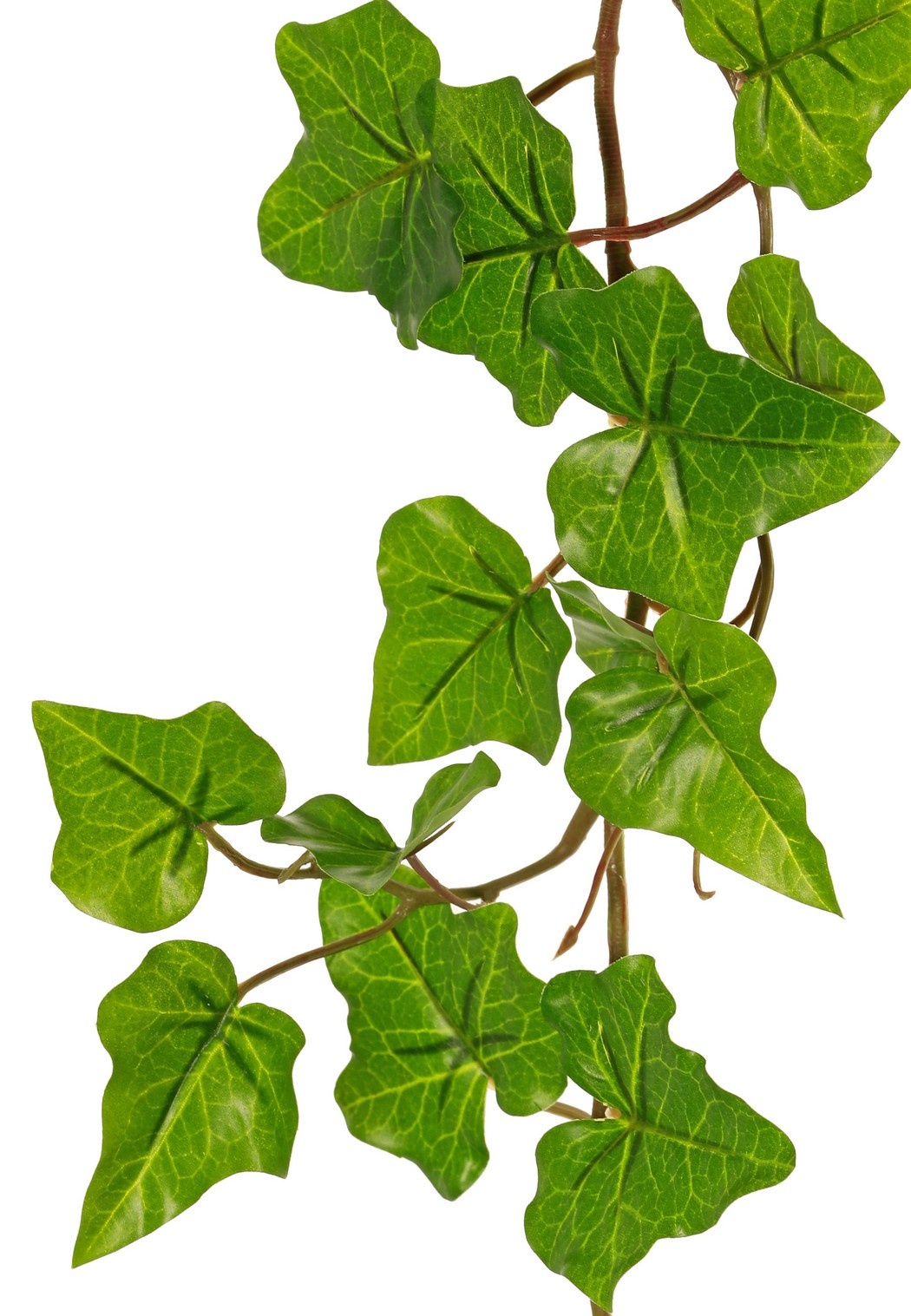 Hedera hibernica garland (Atlantic ivy), 'Basic' with 76 PE leaves, UV-resistant, 150 cm