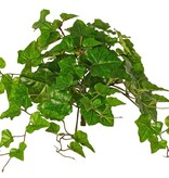 Hedera hibernica-Pflanze (Atlantischer Efeu), "Basic" mit 68 PE-Blättern, UV-beständig, 40 cm