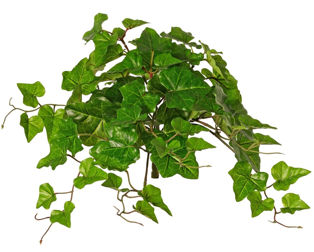 Planta Hedera hibernica (hiedra atlántica), "Basic" con 68 hojas de PE, resistente a los rayos UV, 40 cm