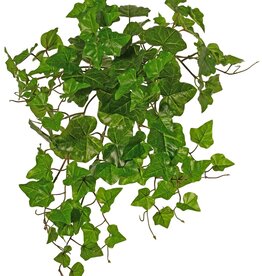 Hedera hibernica plant (Atlantic ivy), "basic" with 110 PE leaves, UV-resistant, Ø 45 cm