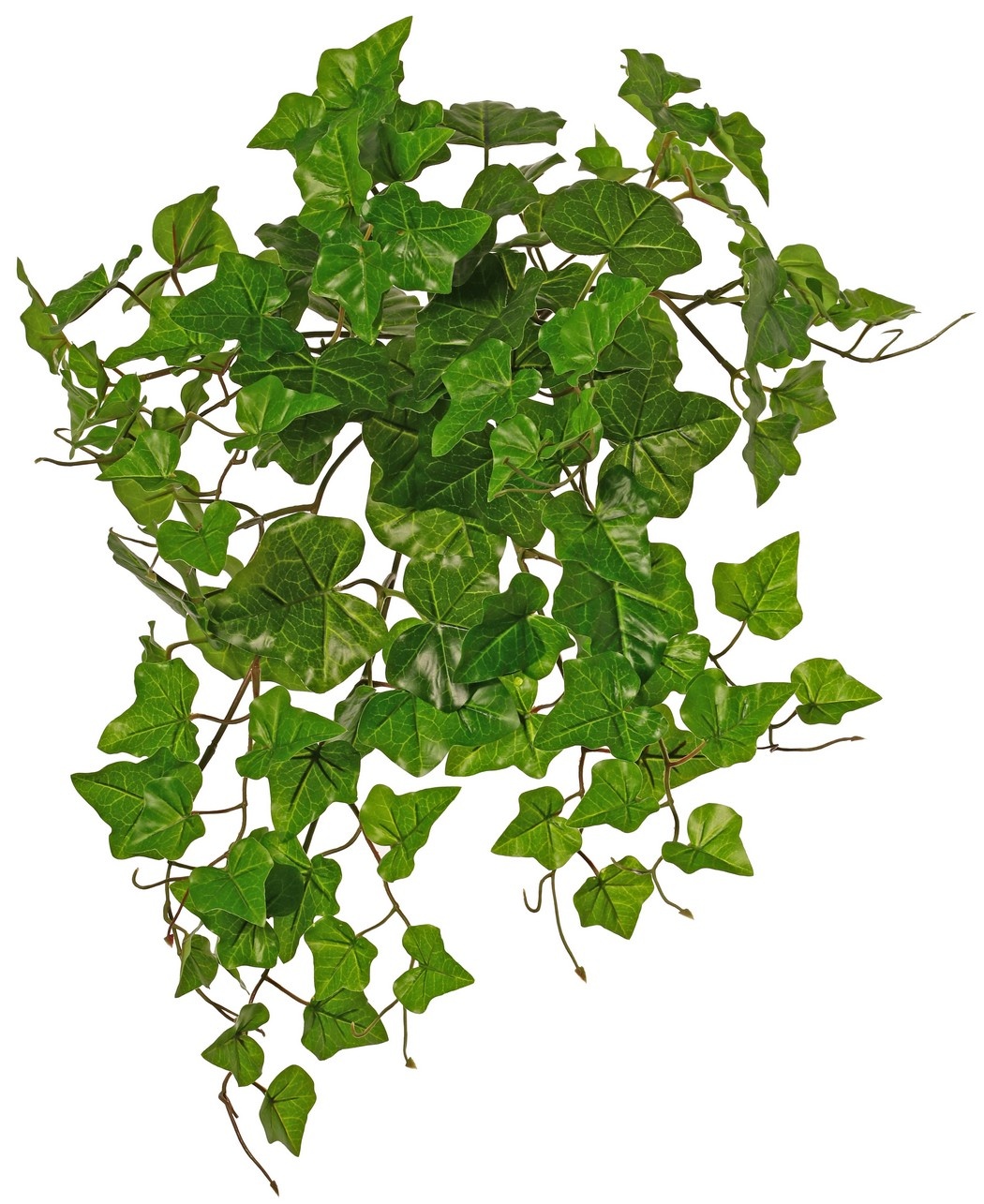 Hedera hibernica-Pflanze (Atlantischer Efeu), "basic" mit 110 PE-Blättern, UV-beständig, Ø 45 cm