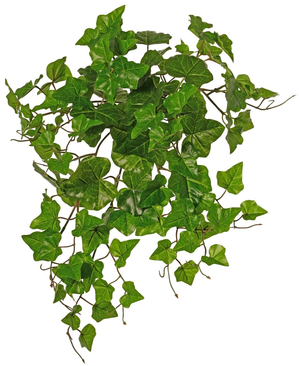 Hedera hibernica plant (Atlantische klimop), 'basic' met 110 PE bladeren, UV bestendig, Ø 45 cm