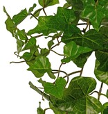 Hedera hibernica-Pflanze (Atlantischer Efeu), "basic" mit 110 PE-Blättern, UV-beständig, Ø 45 cm