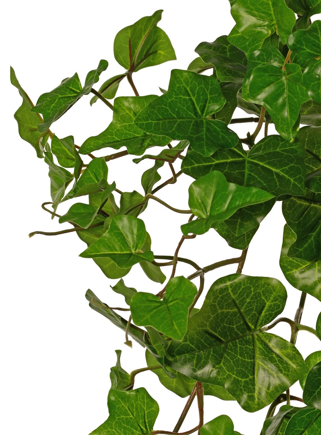 Planta Hedera hibernica (hiedra atlántica), "básica" con 110 hojas de PE, resistente a los rayos UV, Ø 45 cm