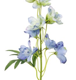 Delphinium (Ridderspoor) met 7 bloemen (Ø 5 cm), 3 knoppen & 1 blad, 50 cm