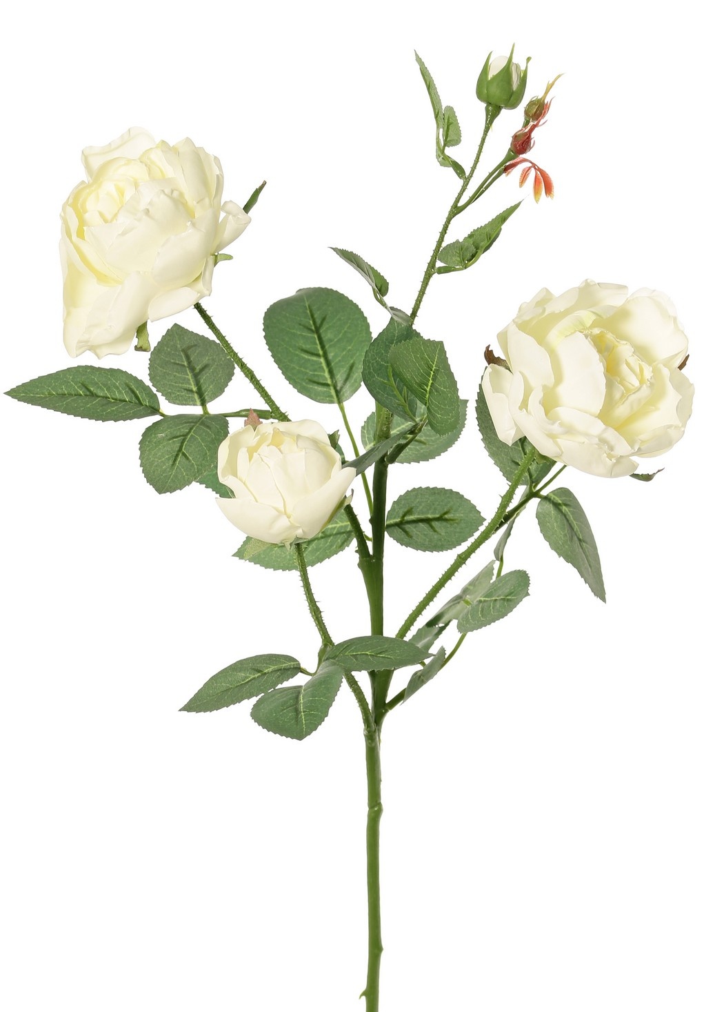 Roos (Rosa) 'Ariana', 4 vertakkingen, met 3 bloemen, 1 bloemknop & 2 knopjes, 31 blad, 73 cm