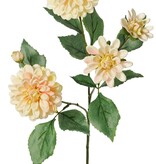 Dalia 'Garden Art', con 4 flores (2x L/1x M/1x S) y 1 capullo, con 12 hojas, 69 cm