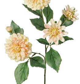 Dahlia 'Garden Art', met 4 bloemen ( 2x L/1x M/1x S) & 1 knop, met 12 bladeren, 69 cm