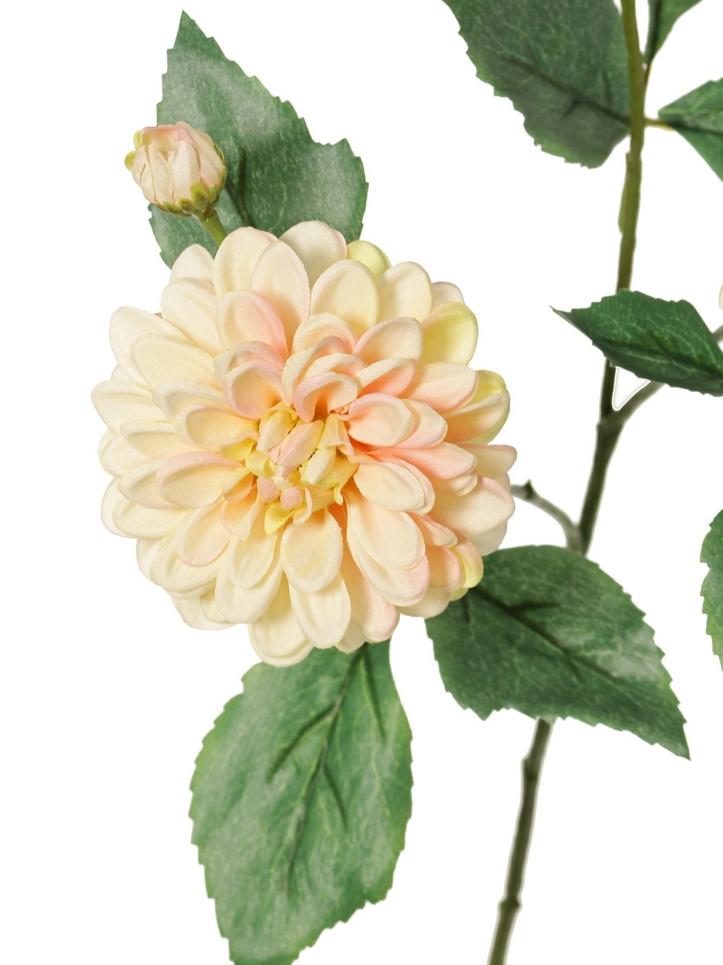 Dahlia 'Garden Art', met 4 bloemen ( 2x L/1x M/1x S) & 1 knop, met 12 bladeren, 69 cm