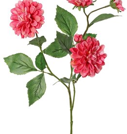 Dahlia 'Garden Art', met 4 bloemen ( 2x L/1x M/1x S) & 1 knop, met 12 bladeren, 69 cm