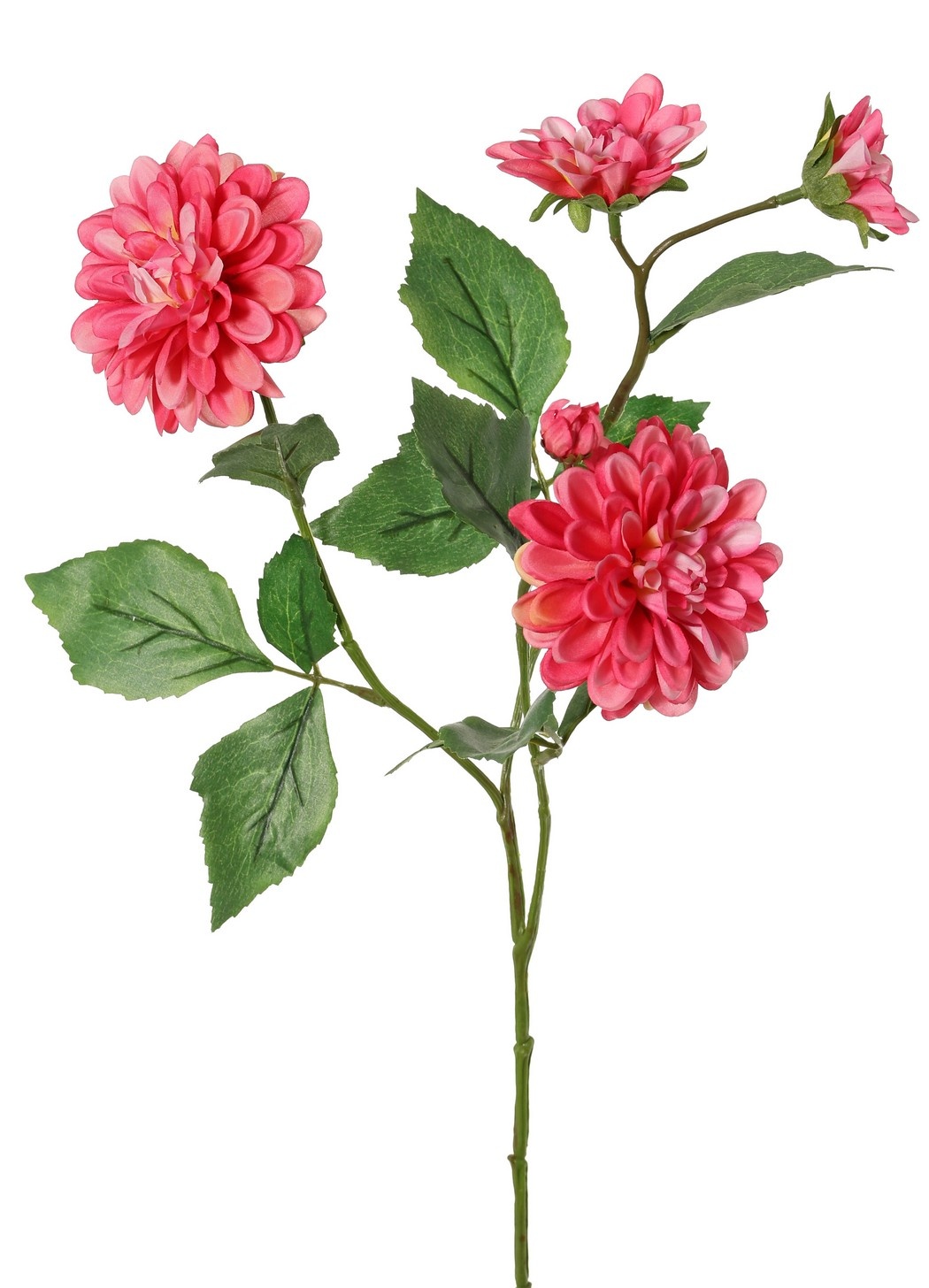 Dahlia 'Garden Art', with 4 flowers (2x L/1x M/1x S) & 1 bud, with 12 leaves, 69 cm