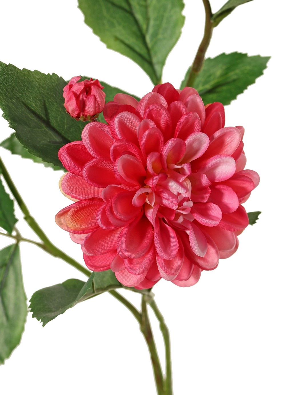 Dahlia 'Garden Art', met 4 bloemen ( 2x L/1x M/1x S) & 1 knop, met 12 bladeren, 69 cm