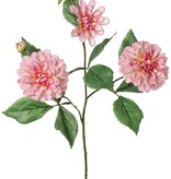 Dalia 'Garden Art', con 4 flores (2x L/1x M/1x S) y 1 capullo, con 12 hojas, 69 cm