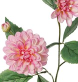 Dahlia 'Garden Art', met 4 bloemen ( 2x L/1x M/1x S) & 1 knop, met 12 bladeren, 69 cm