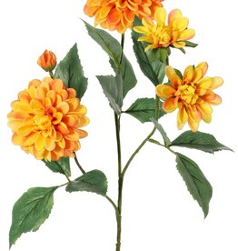 Dahlia 'Garden Art', met 4 bloemen ( 2x L/1x M/1x S) & 1 knop, met 12 bladeren, 69 cm