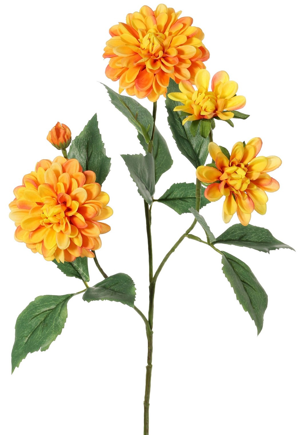 Dahlia 'Garden Art', with 4 flowers (2x L/1x M/1x S) & 1 bud, with 12 leaves, 69 cm