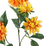 Dahlia 'Garden Art', met 4 bloemen ( 2x L/1x M/1x S) & 1 knop, met 12 bladeren, 69 cm