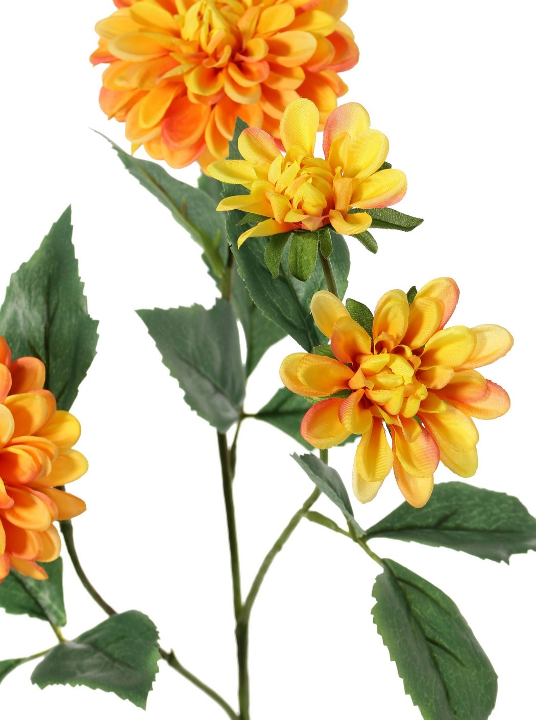 Dalia 'Garden Art', con 4 flores (2x L/1x M/1x S) y 1 capullo, con 12 hojas, 69 cm