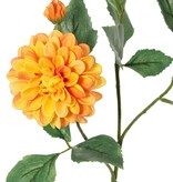 Dahlia 'Garden Art', met 4 bloemen ( 2x L/1x M/1x S) & 1 knop, met 12 bladeren, 69 cm