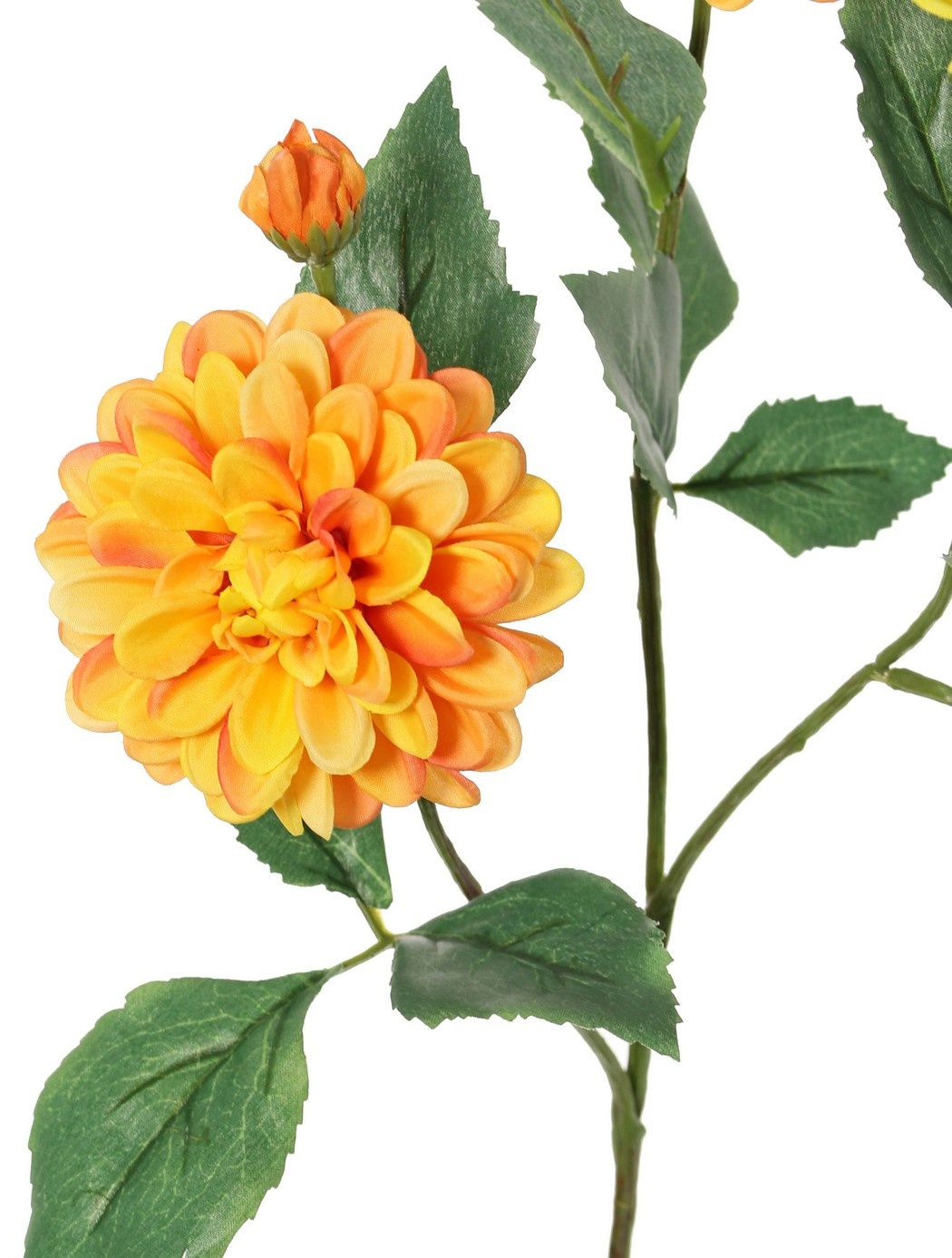 Dahlia 'Garden Art', met 4 bloemen ( 2x L/1x M/1x S) & 1 knop, met 12 bladeren, 69 cm