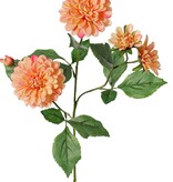 Dahlia 'Garden Art', met 4 bloemen ( 2x L/1x M/1x S) & 1 knop, met 12 bladeren, 69 cm