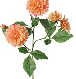 Dahlia 'Garden Art', with 4 flowers (2x L/1x M/1x S) & 1 bud, with 12 leaves, 69 cm